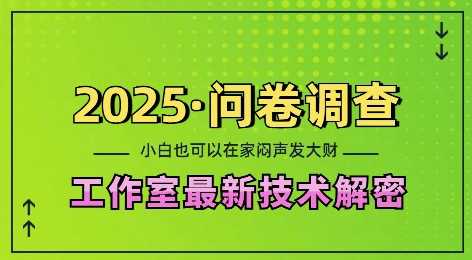 2025问卷调查最新工作室技术解密:一个人在家也可以闷声发大财,小白一天2张,可矩阵放大【揭秘】-星火爱财