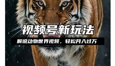 利用动物世界解说视频,赚分成计划收益,轻松月入过W,操作简单【揭秘】-星火爱财