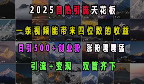 2025自热引流天花板,一条视频能带来四位数的收益,引流+变现双管齐下,日引500+创业粉,涨粉嘎嘎猛-星火爱财