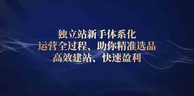 独立站新手体系化 运营全过程,助你精准选品、高效建站、快速盈利-星火爱财