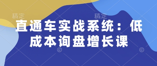 直通车实战系统:低成本询盘增长课,让个人通过技能实现升职加薪,让企业低成本获客,订单源源不断-星火爱财