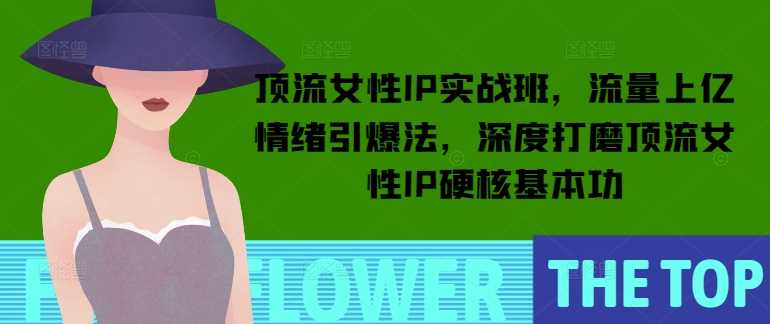 顶流女性IP实战班,流量上亿情绪引爆法,深度打磨顶流女性IP硬核基本功-星火爱财