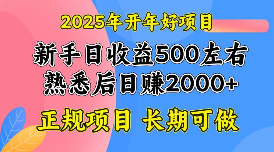 (14076期)2025开年好项目,单号日收益2000左右-星火爱财