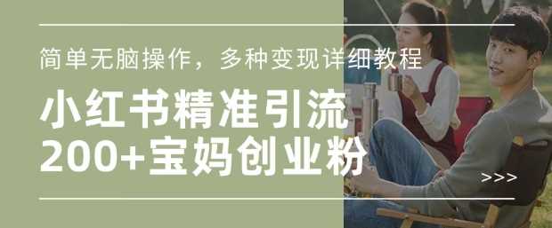小红书混剪日引200+宝妈创业粉,简单无脑操作,多种变现详细教程-星火爱财