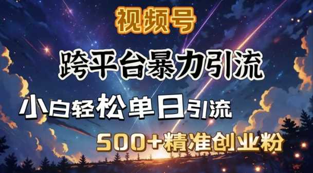 跨平台暴力引流,私域完美闭环,日引500+精准创业粉-星火爱财