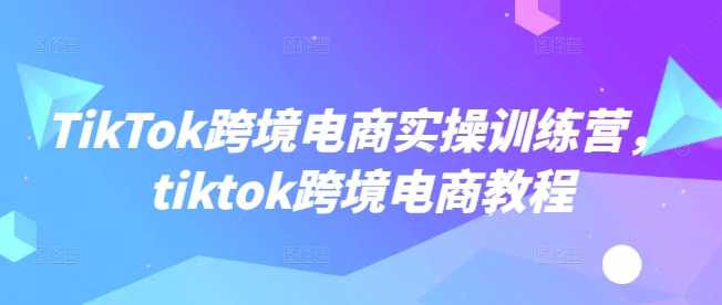 TikTok跨境电商实操训练营,tiktok跨境电商教程-星火爱财