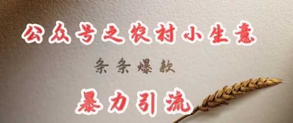 deepseek写农村小项目,条条爆款,暴力引流-星火爱财