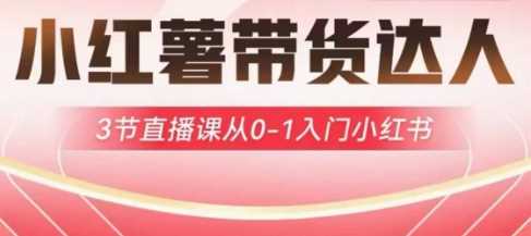 小红薯达人带货启航计划,3节直播课从0-1入门小红书-星火爱财
