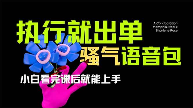 (14170期)爆火全网的开车导航骚气语音包,只要执行就出单,小白看完课程就能实操…-星火爱财