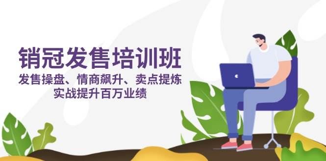 (14203期)销冠 发售培训班:发售 操盘+情商 飙升+卖点 提炼,实战提升百万业绩-星火爱财