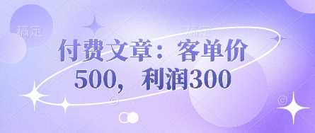 付费文章:客单价500,利润300