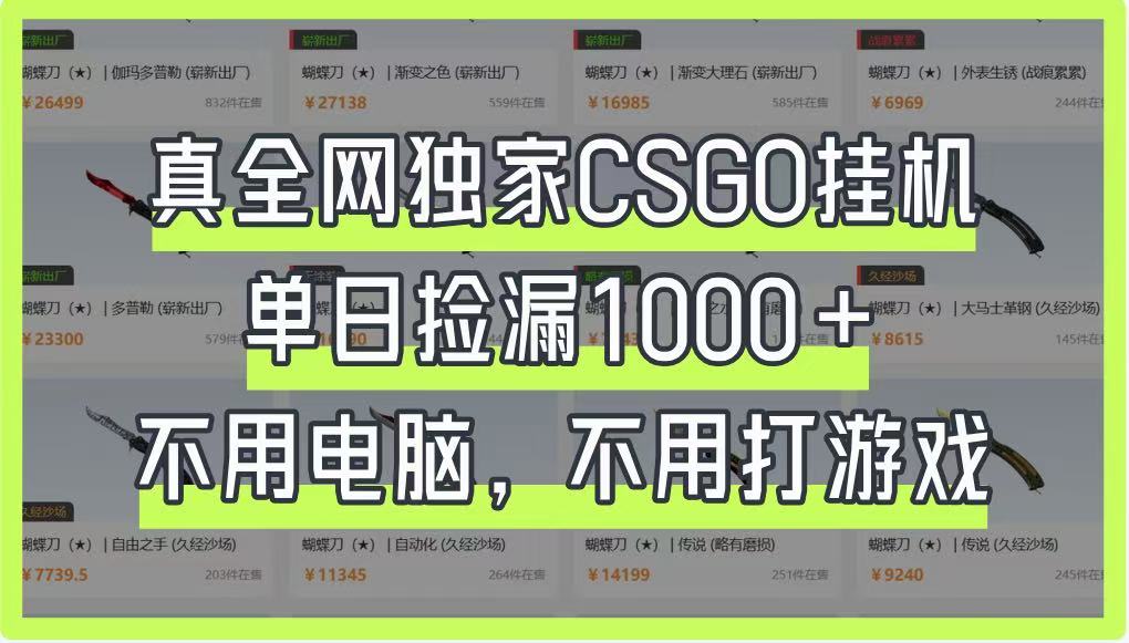 真全网独家CSGO挂机,单日捡漏1000+,不用电脑,不用养号-星火爱财