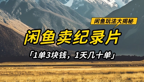 闲鱼卖纪录片1单3块钱,1天几十单,项目稳定有潜力-星火爱财