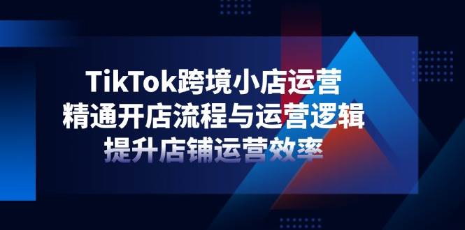 (14369期)TikTok跨境小店运营,精通开店流程与运营逻辑,提升店铺运营效率-星火爱财