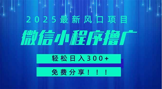 (14375期)微信小程序撸广,最新风口项目,日入300+ 免费分享 可批量操作 小白可…-星火爱财