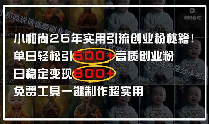 (14436期)小和尚2025年实用引流秘籍!单日轻松引500+高质量创业粉,日变现800+,…-星火爱财