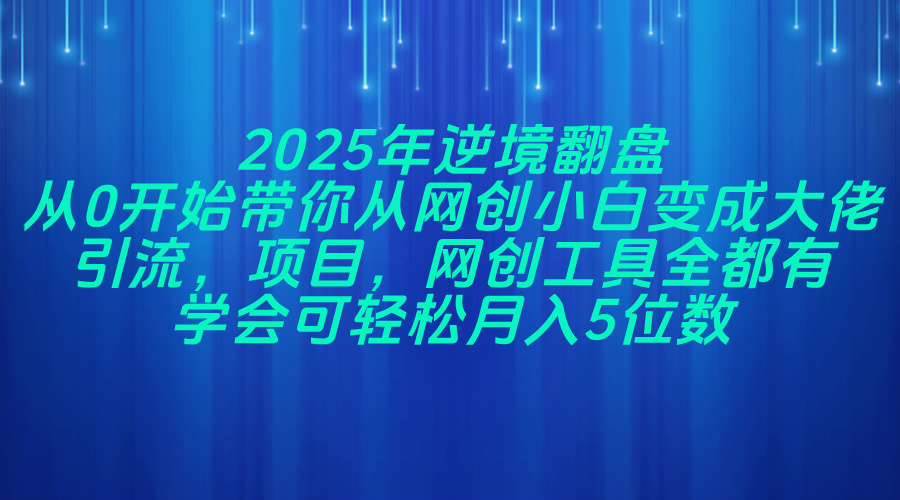(14473期)2025年逆境翻盘,从0开始带你从网创小白变成大佬,引流,项目,网创工…-星火爱财