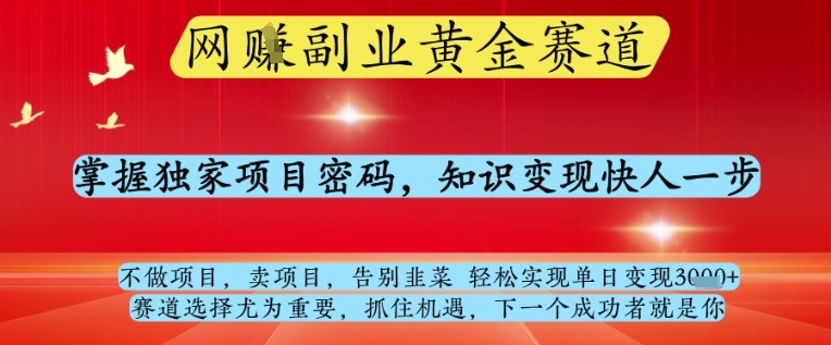 网创副业黄全赛道,掌握独家项目密码,知识变现快人一步,告别韭菜轻松实现单日变现1k+【揭秘】-星火爱财