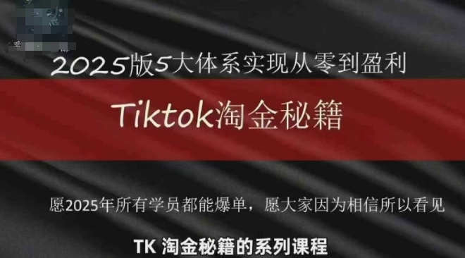 TikTok跨境2025淘金秘籍,2025TikTok从0到盈利变现-星火爱财
