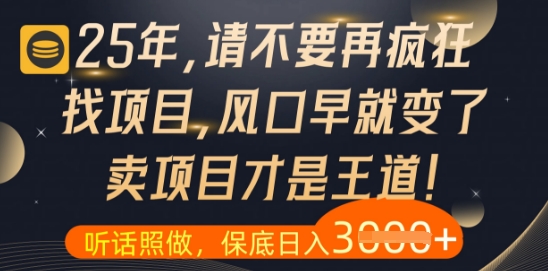 什么?25年你还在疯狂找项目做,醒醒吧,看完这些你全都懂了【揭秘】-星火爱财