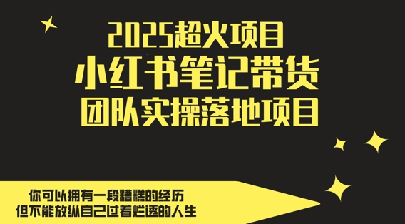 2025超火项目,副业最佳选择,小红书笔记带货团队实操落地项目,,轻松日入5张-星火爱财