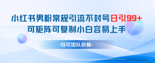 小红书男粉常规引流不封号日引99+变现简单 可矩阵可复制小白容易上手-星火爱财