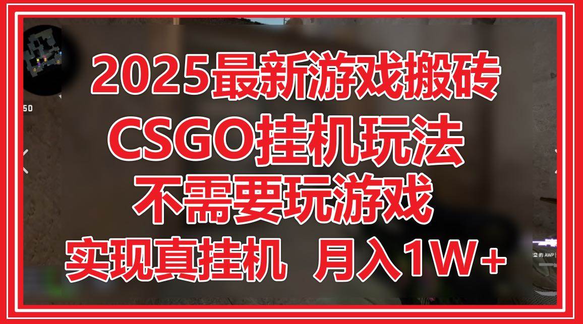 (14743期)2025最新游戏搬砖,CSGO挂机,不需要玩游戏,实现真挂机,月入1W+-星火爱财