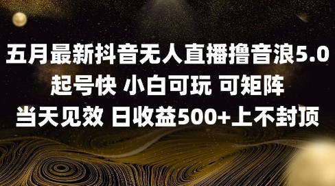 2025五月最新无人直播撸音浪单日产出5张+实操教程【揭秘】-星火爱财