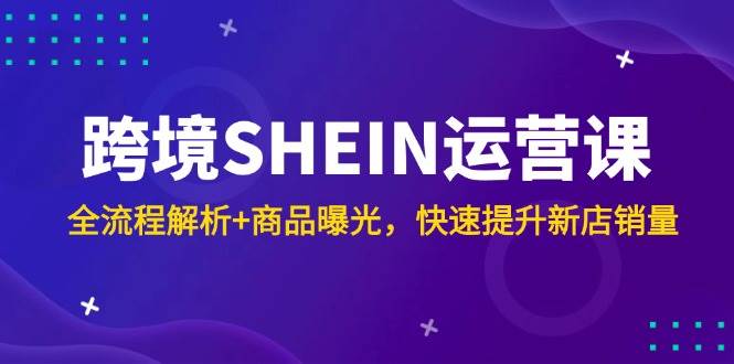 (14832期)跨境SHEIN运营课,全流程解析+商品曝光,快速提升新店销量-星火爱财