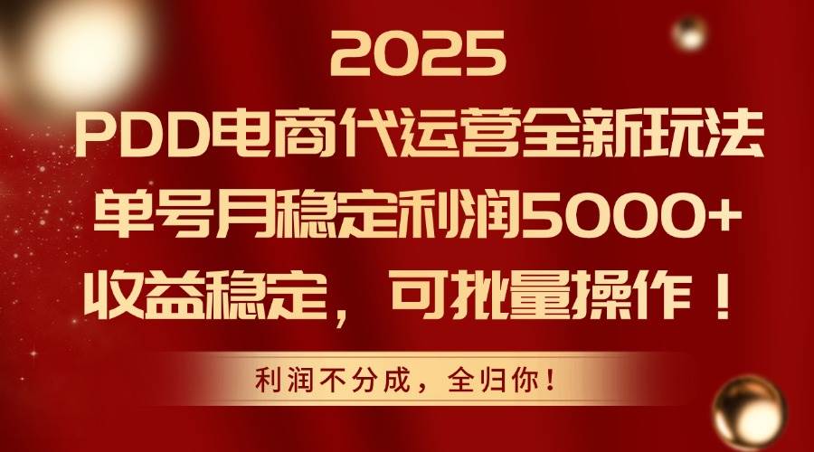 (14839期)2025PDD电商代运营全新玩法,单号月稳定利润5000+,收益稳定,可批量操作-星火爱财