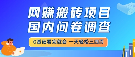 网创搬砖项目,国内问卷调查,小白轻松上手,一天三四张的也不难,干就完了【揭秘】-星火爱财