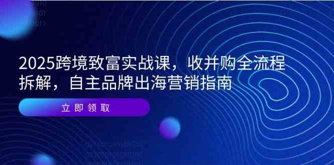 2025跨境致富实战课,收并购全流程拆解,自主品牌出海营销指南-星火爱财