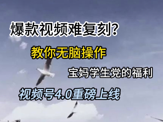 视频号4.0重磅上线,爆款视频难复刻?教你无脑操作宝妈学生党的福利【揭秘】-星火爱财