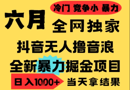 25年6月高爆抖音无人直播最新撸音浪掘金项目,小白可做,无脑日入1k+,门槛低可批量矩阵【揭秘】-星火爱财