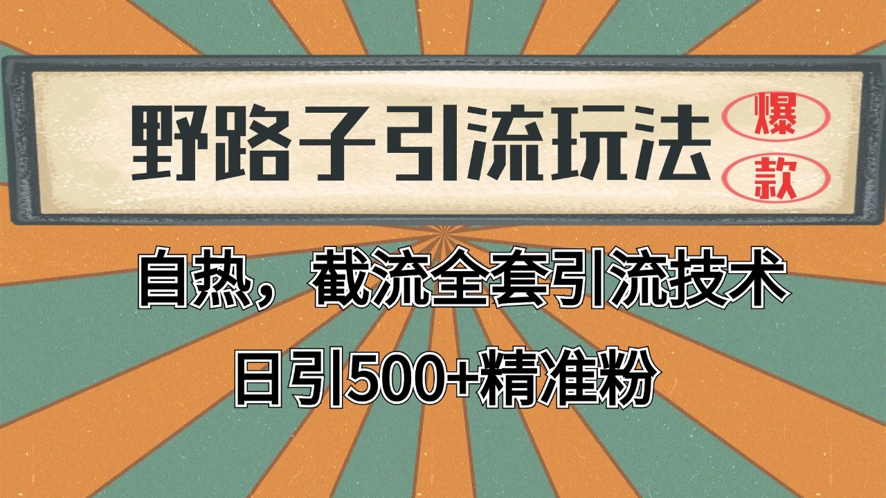 2024首发野路子引流玩法截流自热全平台打法,全自动引流【日引2000+精准客户】-星火爱财