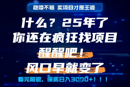 什么?25年你还在疯狂找项目做,醒醒吧,看完这些你全都懂了!【揭秘】-星火爱财