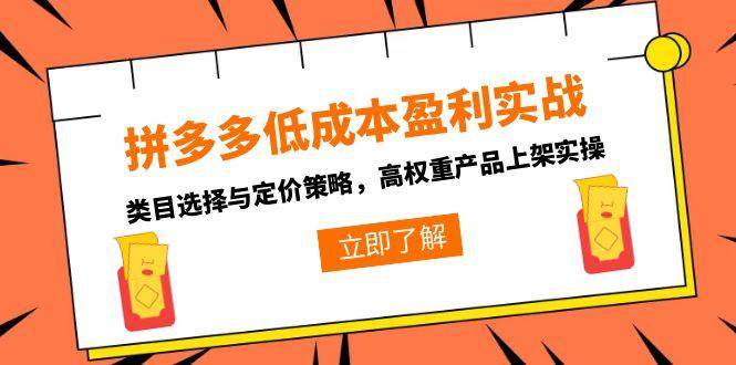 (15143期)拼多多低成本盈利实战,类目选择与定价策略,高权重产品上架实操-星火爱财