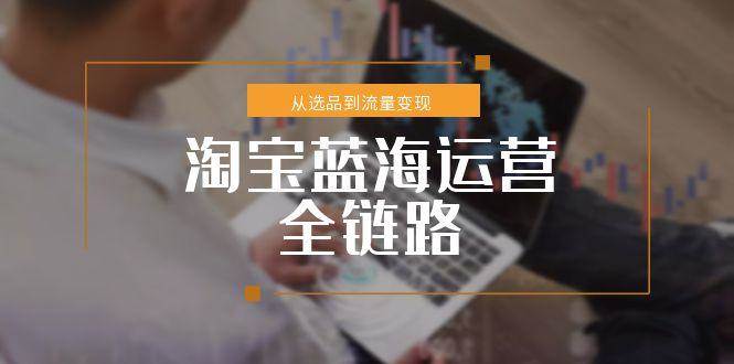 (15160期)淘宝蓝海运营全链路,从选品到流量变现,小类目突围完整方案-星火爱财