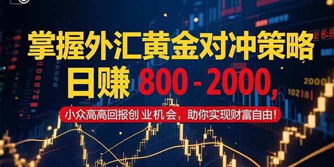 (15198期)掌握外汇黄金对冲策略,日赚 800 – 2000,小众高回报创业机会,助你实…-星火爱财