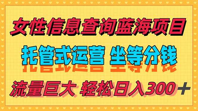 (15216期)稳定日入300+,小众信息查询蓝海项目,全程懒人式托管,解放你的时间-星火爱财