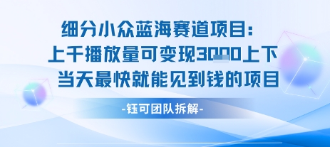 小众蓝海赛道项目:当天变现1k+适合新手操作 +适合长期玩-星火爱财