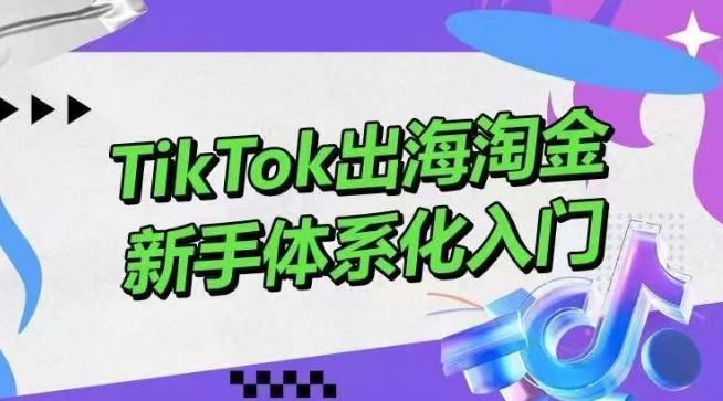 TikTok出海淘金，新手体系化入门，零基础快速入门，掌握短视频、直播带货等引流到变现的知识-星火爱财