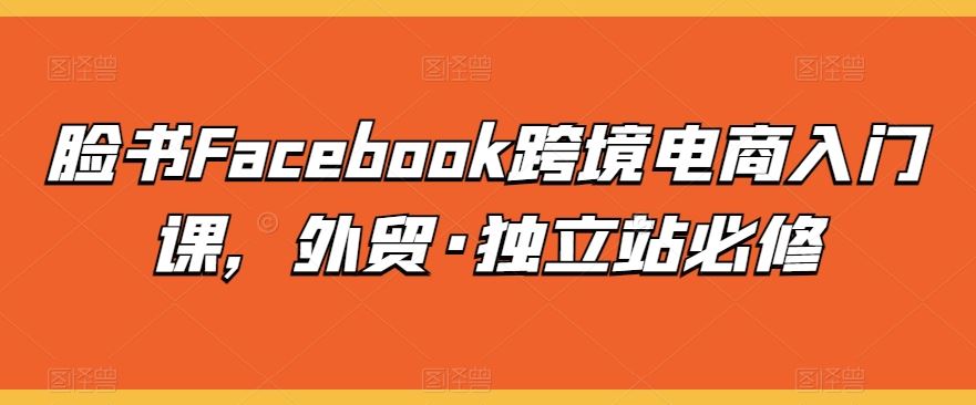 脸书Facebook跨境电商入门课，外贸·独立站必修-星火爱财