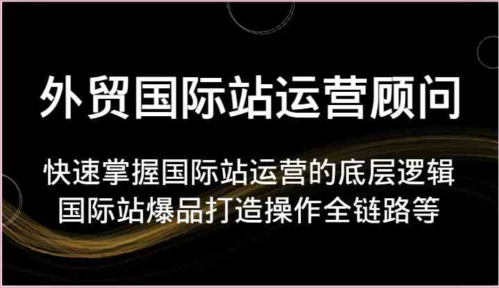 外贸国际站运营顾问-快速掌握国际站运营的底层逻辑，国际站爆品打造操作全链路等-星火爱财