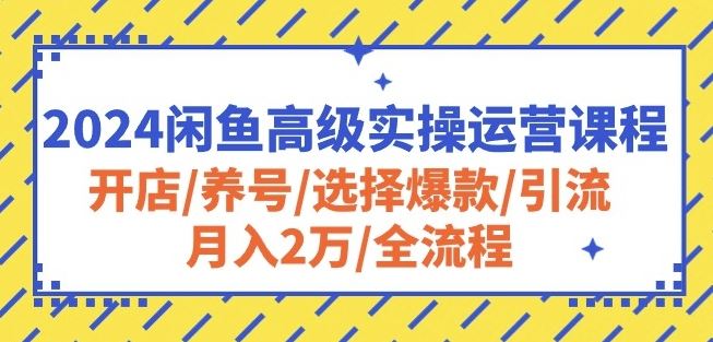 2024闲鱼高级实操运营课程：开店/养号/选择爆款/引流/月入2万/全流程-星火爱财