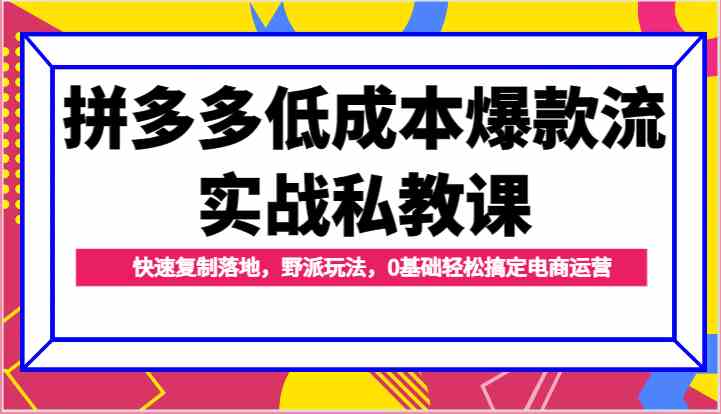拼多多低成本爆款流实战私教课，快速复制落地，野派玩法，0基础轻松搞定电商运营-星火爱财