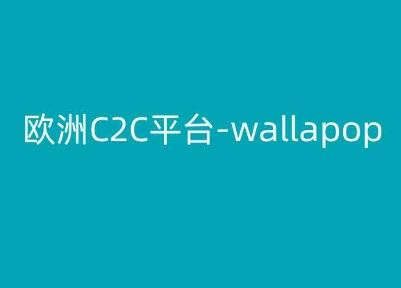 欧洲C2C平台-wallapop-kim跨境电商教程-星火爱财