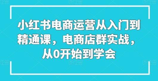 小红书电商运营从入门到精通课，电商店群实战，从0开始到学会-星火爱财