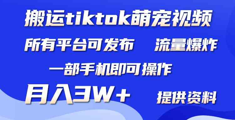（9618期）搬运Tiktok萌宠类视频，一部手机即可。所有短视频平台均可操作，月入3W+-星火爱财