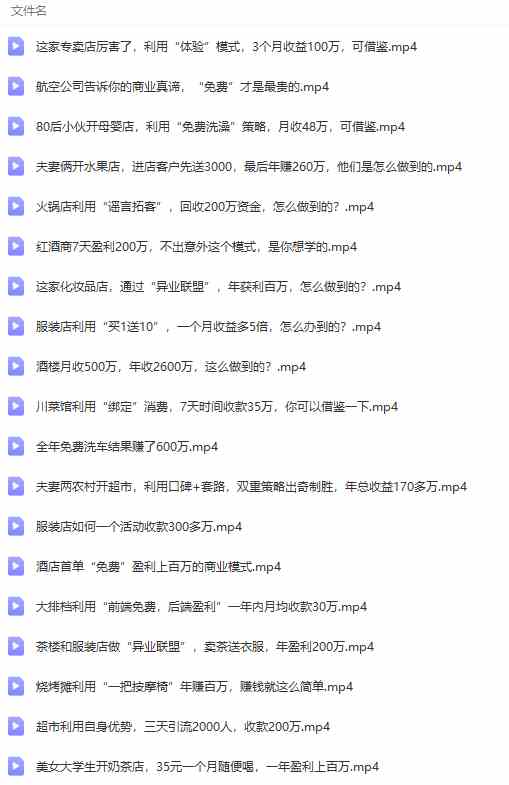 图片[8]-（9607期）真实有效391套商业模式，年入几十到几百万案例解析（电子书+视频+图文）-星火爱财